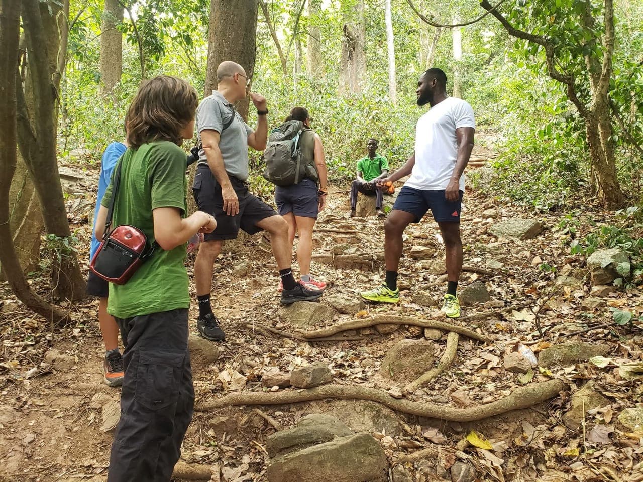 Leading travelers through the rainforest