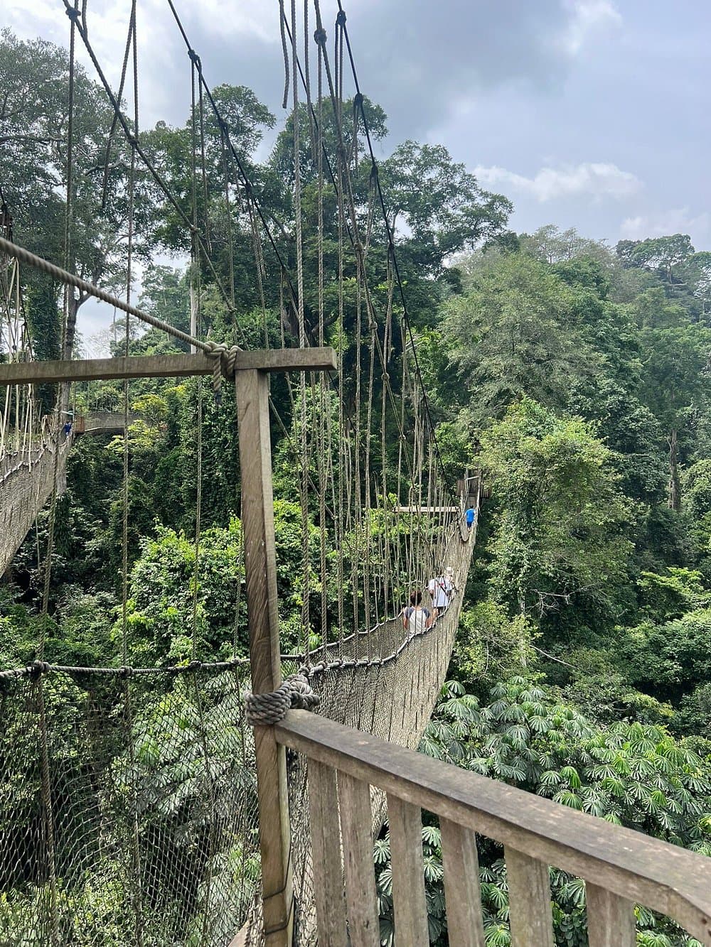 Kakum Canopy Walk & Cape Coast Heritage — photo 2