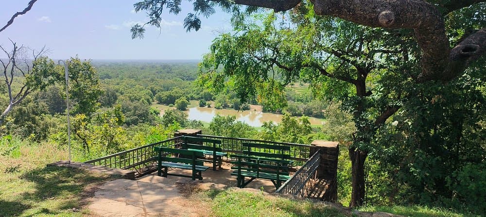 Mole National Park Safari — photo 4